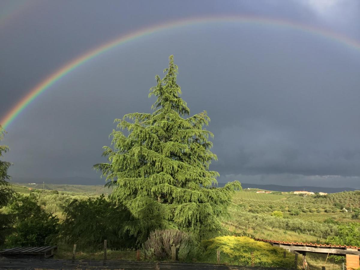 Quinta Do Salgueiro B&B - Turismo Rural Фрейшу-ди-Эшпада-а-Синта Экстерьер фото