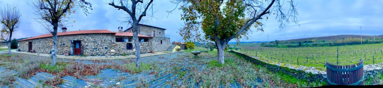 Quinta Do Salgueiro B&B - Turismo Rural Фрейшу-ди-Эшпада-а-Синта Экстерьер фото