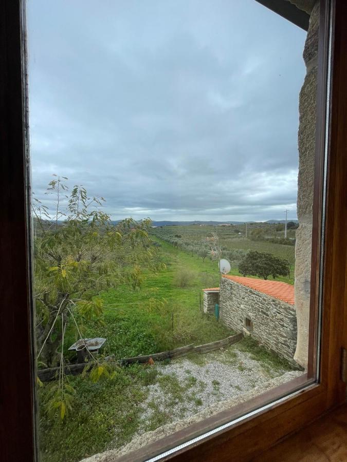 Quinta Do Salgueiro B&B - Turismo Rural Фрейшу-ди-Эшпада-а-Синта Экстерьер фото