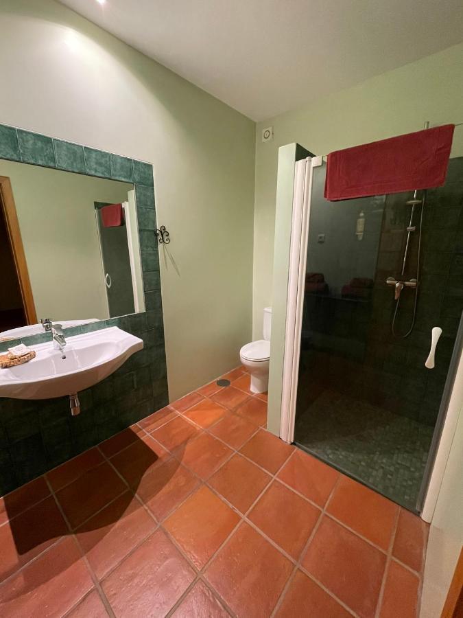 Quinta Do Salgueiro B&B - Turismo Rural Фрейшу-ди-Эшпада-а-Синта Экстерьер фото