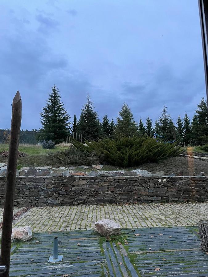 Quinta Do Salgueiro B&B - Turismo Rural Фрейшу-ди-Эшпада-а-Синта Экстерьер фото